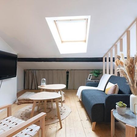 Le Cosy Du Pont Mouja Apartment Nancy Bagian luar foto