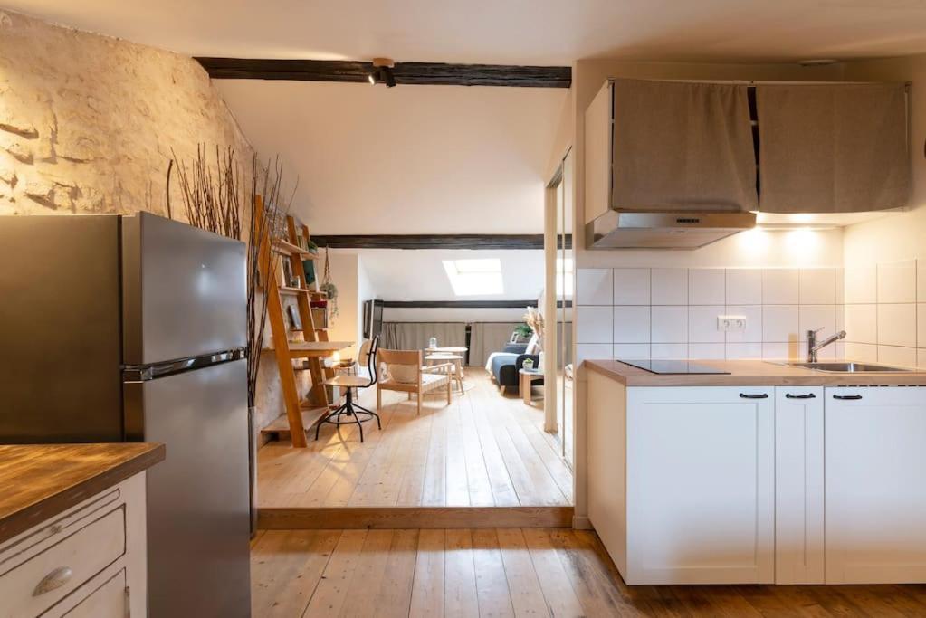 Le Cosy Du Pont Mouja Apartment Nancy Bagian luar foto