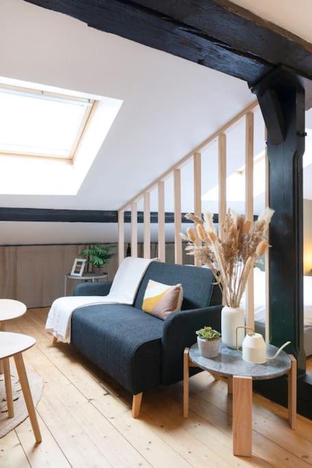Le Cosy Du Pont Mouja Apartment Nancy Bagian luar foto